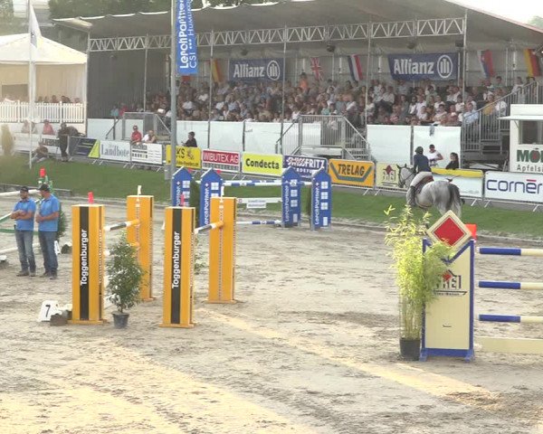 Reitturnier Humlikon 2019