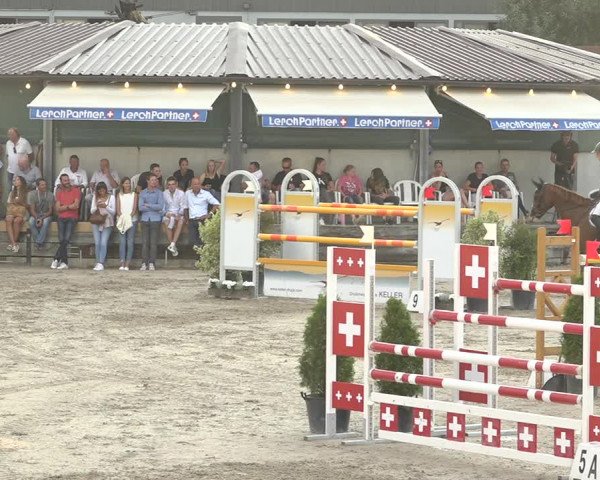 Reitturnier Humlikon 2019