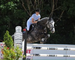 broodmare Coopi (Oldenburg, 2010, from Coupe de Coeur 2)