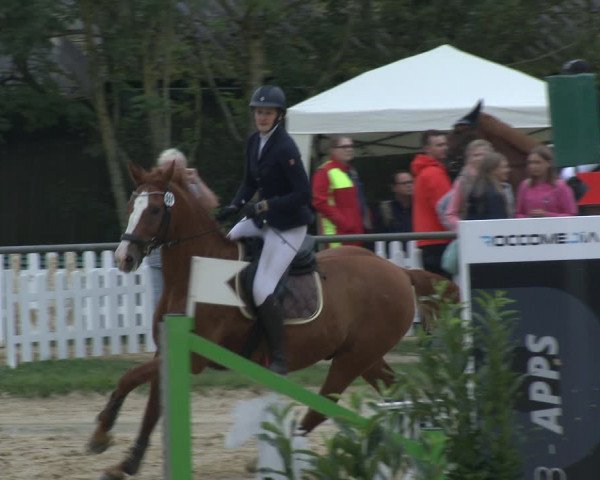 Reitturnier Bühren-Breckerfeld 2019