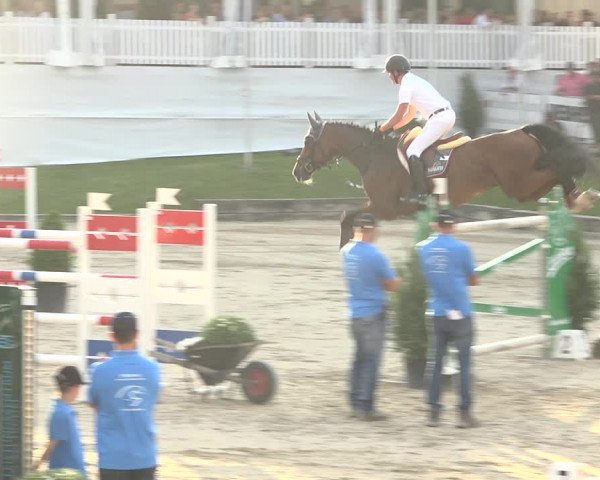 Reitturnier Humlikon 2019