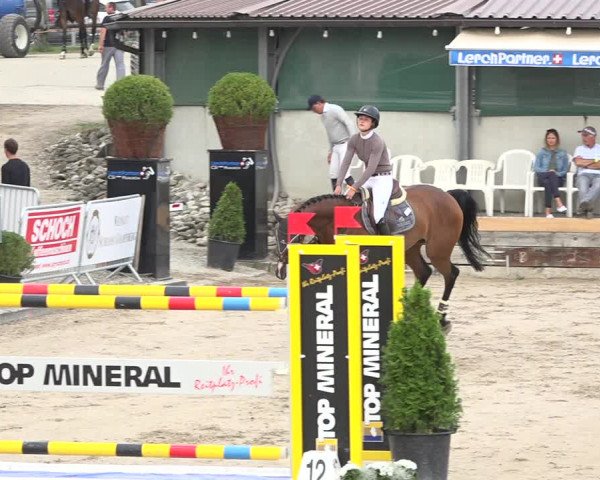 Reitturnier Humlikon 2019