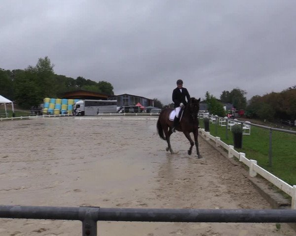 Reitturnier Bühren-Breckerfeld 2019