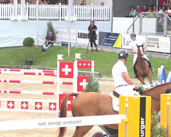 Reitturnier Humlikon 2019