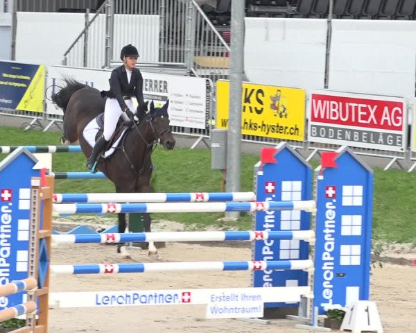Reitturnier Humlikon 2019