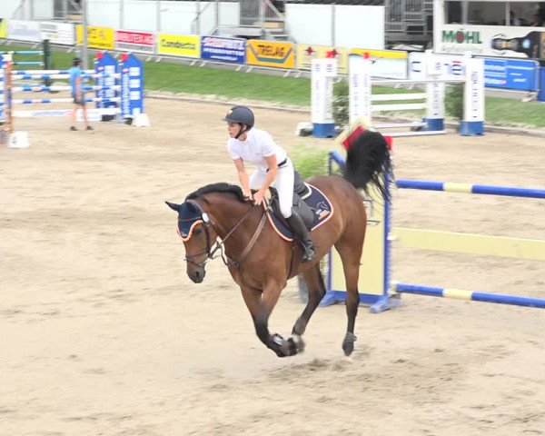 Reitturnier Humlikon 2019