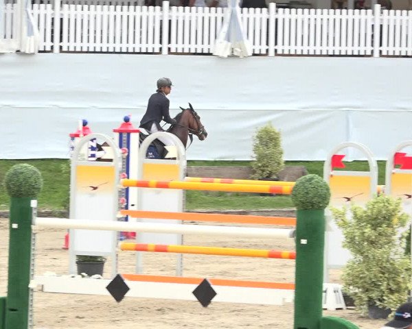 Reitturnier Humlikon 2019