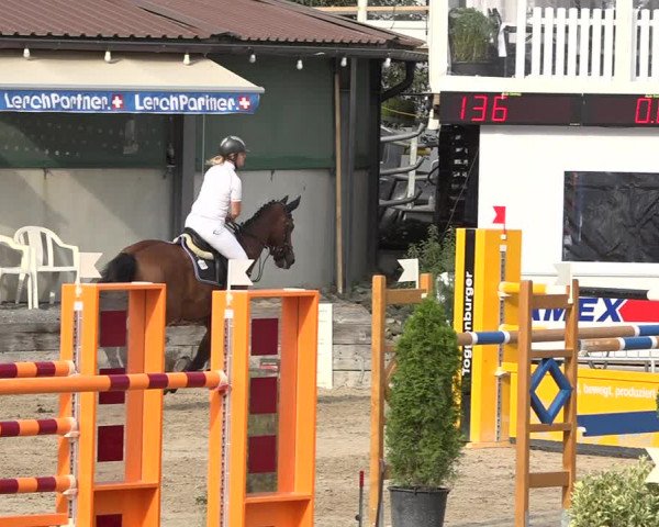 Reitturnier Humlikon 2019