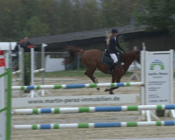 Reitturnier Bühren-Breckerfeld 2019