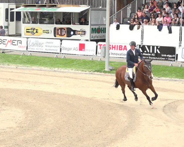 Reitturnier Humlikon 2019