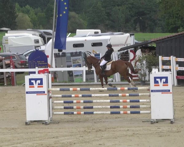 Reitturnier Hauerz 2019