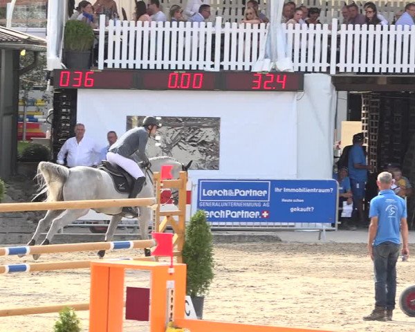 Reitturnier Humlikon 2019
