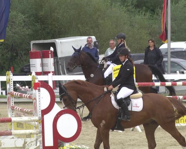 Reitturnier Hauerz 2019