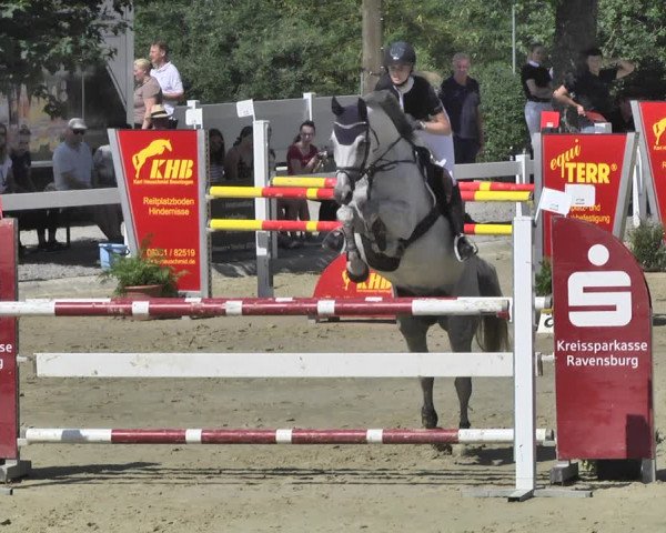 Reitturnier Hauerz 2019