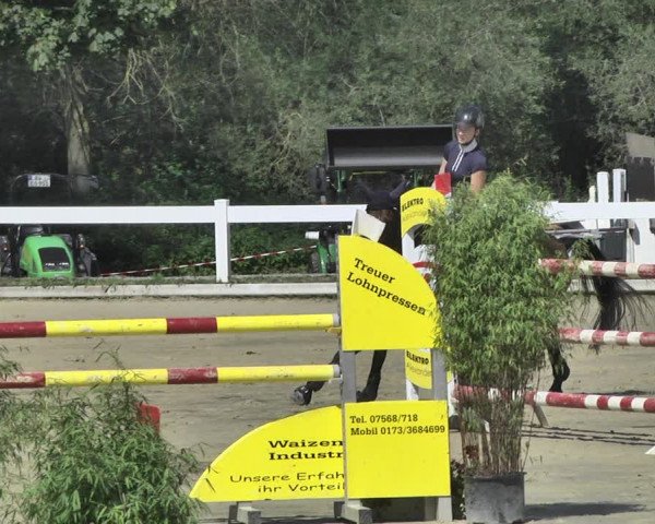 Reitturnier Hauerz 2019