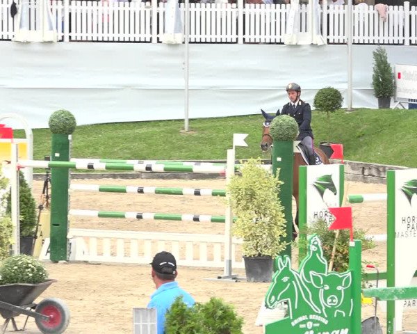Reitturnier Humlikon 2019