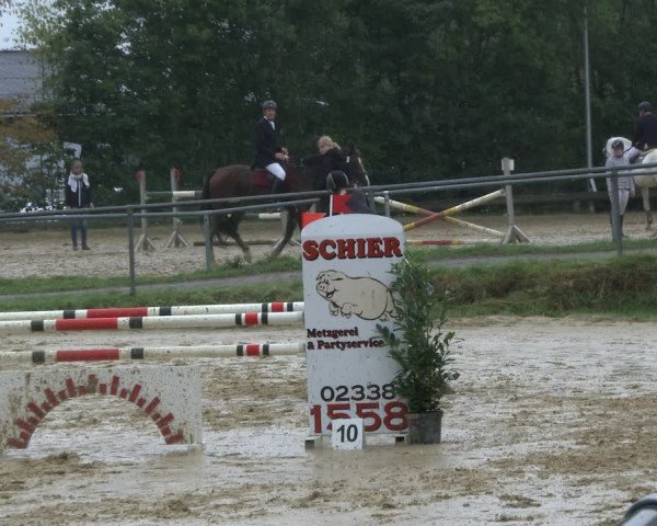 Reitturnier Bühren-Breckerfeld 2019