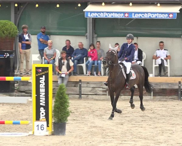 Reitturnier Humlikon 2019