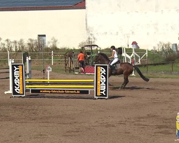 Reitturnier Demantsfürth/Mfr. 2019