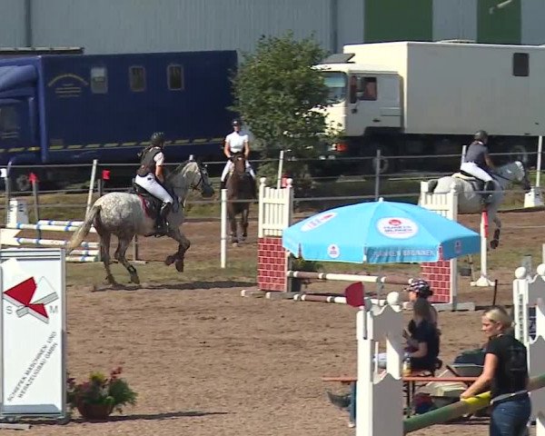 Reitturnier Demantsfürth/Mfr. 2019