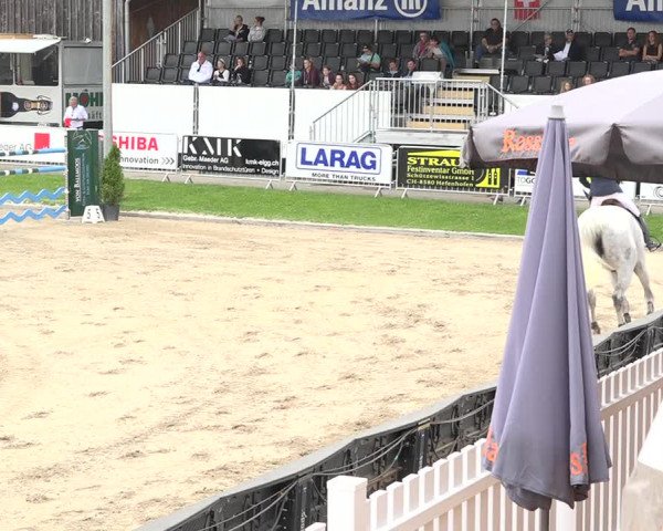 Reitturnier Humlikon 2019