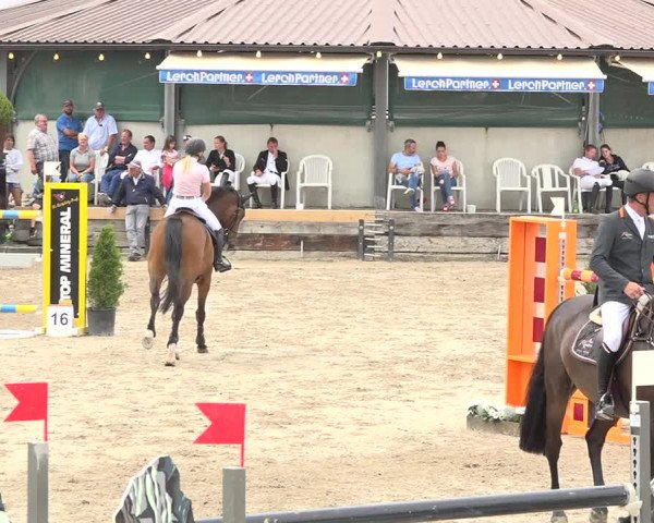 Reitturnier Humlikon 2019