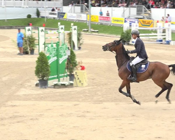 Reitturnier Humlikon 2019