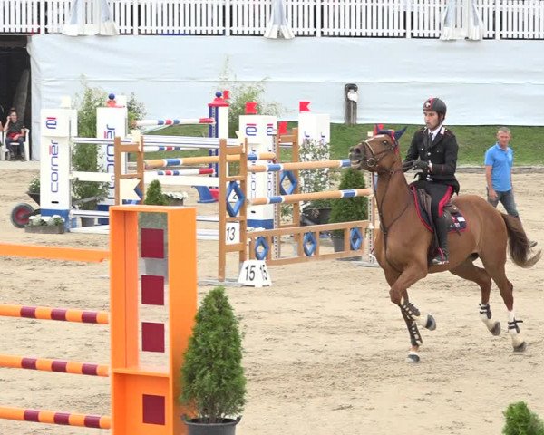 Reitturnier Humlikon 2019