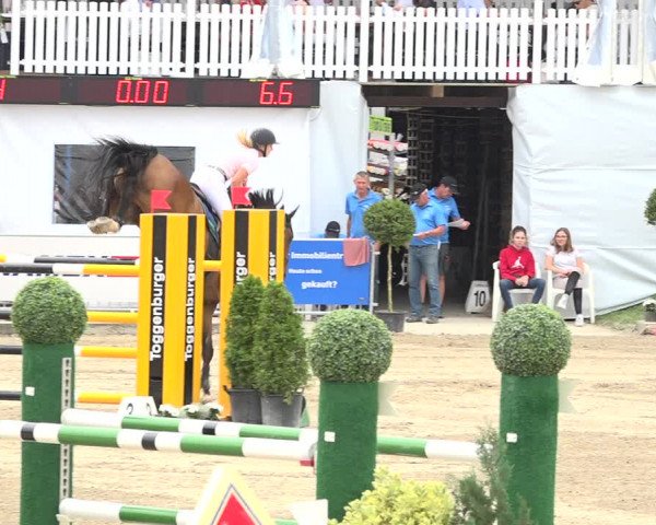 Reitturnier Humlikon 2019