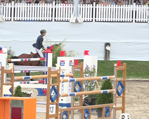 Reitturnier Humlikon 2019