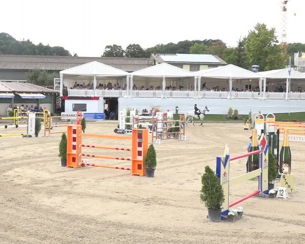 Reitturnier Humlikon 2019