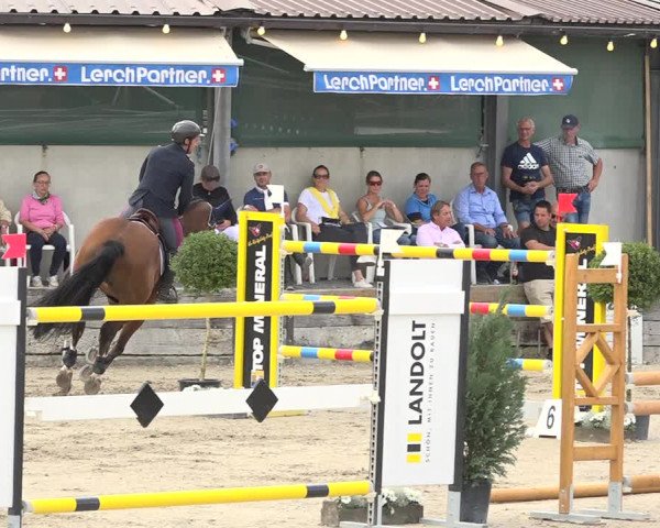 Reitturnier Humlikon 2019