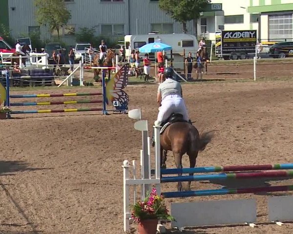 Reitturnier Demantsfürth/Mfr. 2019