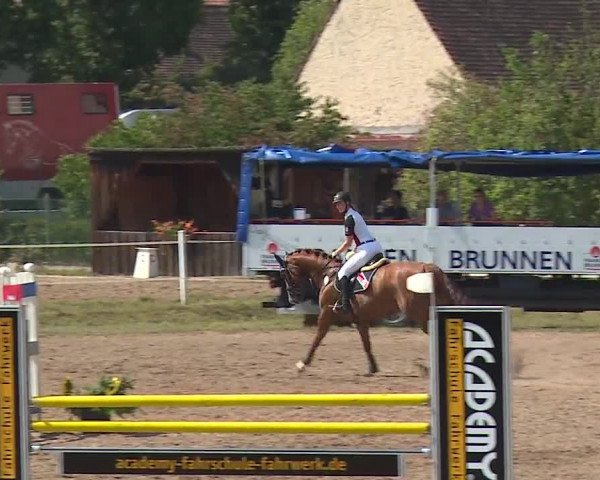 Reitturnier Demantsfürth/Mfr. 2019