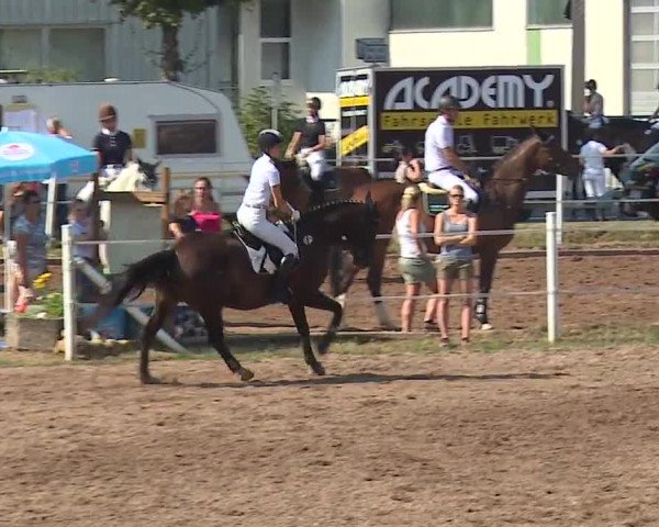 Reitturnier Demantsfürth/Mfr. 2019
