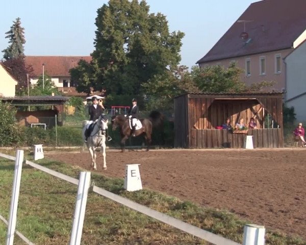 Reitturnier Demantsfürth/Mfr. 2019