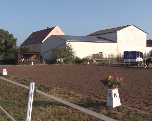 Reitturnier Demantsfürth/Mfr. 2019