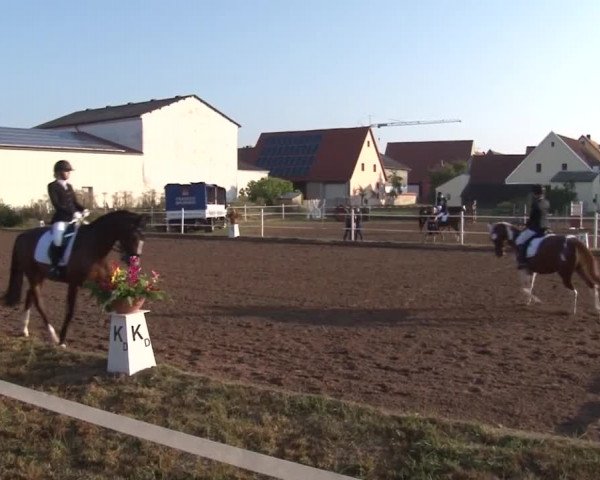 Reitturnier Demantsfürth/Mfr. 2019