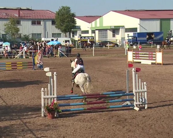 Reitturnier Demantsfürth/Mfr. 2019