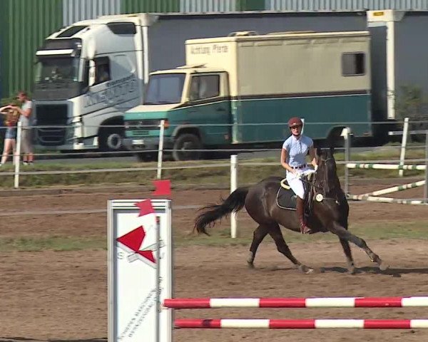 Reitturnier Demantsfürth/Mfr. 2019