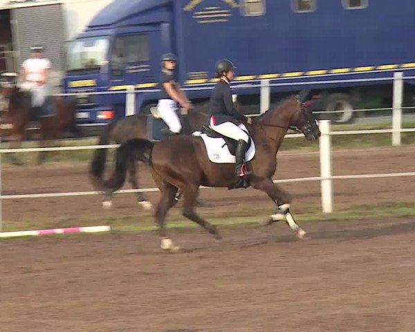 Reitturnier Demantsfürth/Mfr. 2019