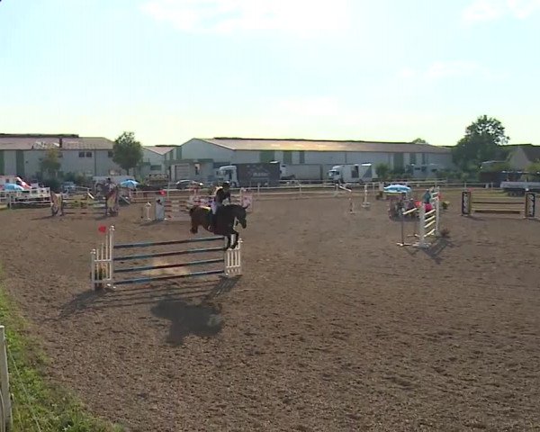 Reitturnier Demantsfürth/Mfr. 2019