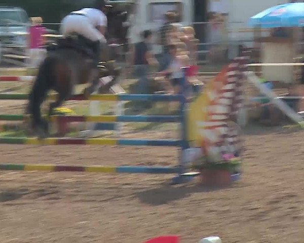 Reitturnier Demantsfürth/Mfr. 2019