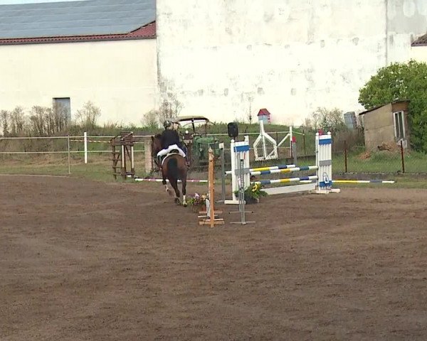 Reitturnier Demantsfürth/Mfr. 2019