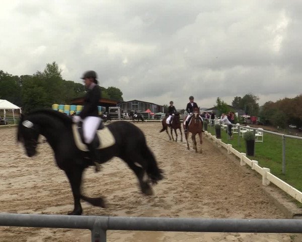 Reitturnier Bühren-Breckerfeld 2019
