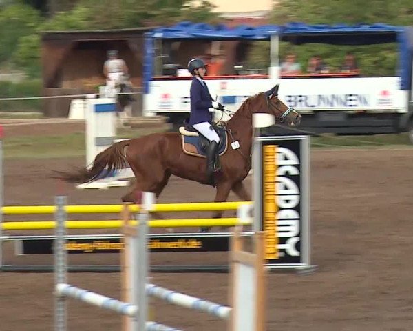 Reitturnier Demantsfürth/Mfr. 2019