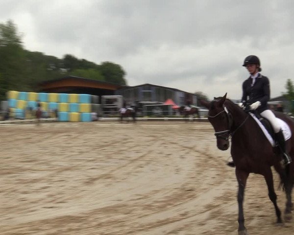 Reitturnier Bühren-Breckerfeld 2019
