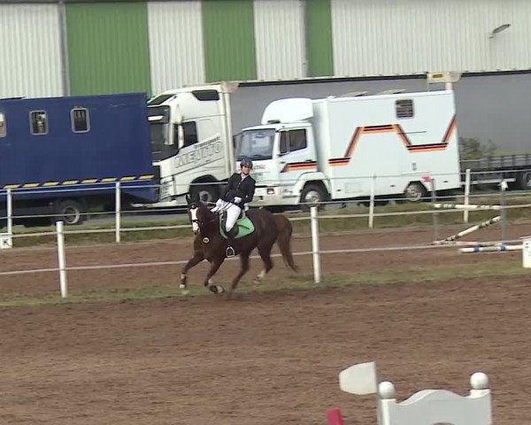 Reitturnier Demantsfürth/Mfr. 2019