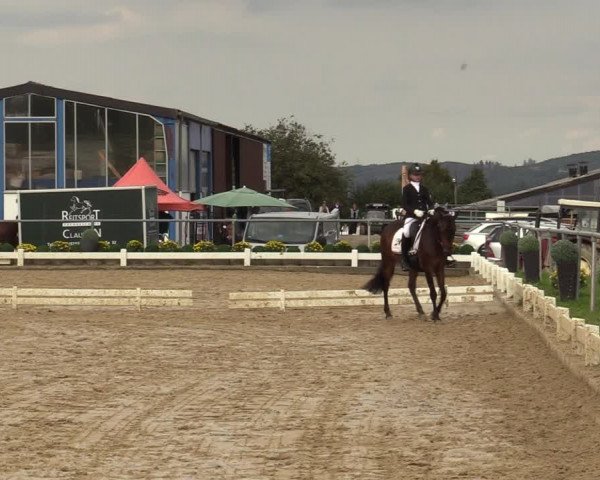 Reitturnier Bühren-Breckerfeld 2019