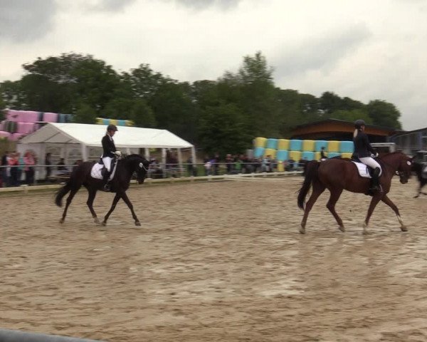 Reitturnier Bühren-Breckerfeld 2019